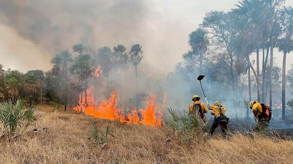 Bomberos piden donaciones ante seguido combate a incendios forestales - Nacionales - ABC Color