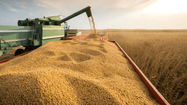 Déficit de USD 162,2 millones marca el arranque del comercio exterior