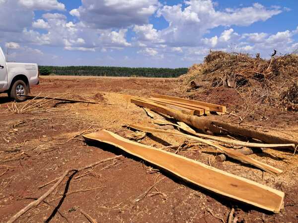 Allanan inmueble por presunta destrucción de bosque nativo junto al lago Yguazú - PDS RADIO Y TV