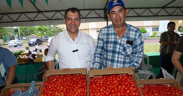 MAG defiende producción nacional y asegura que el tomate no debe superar los 12.000 guaraníes