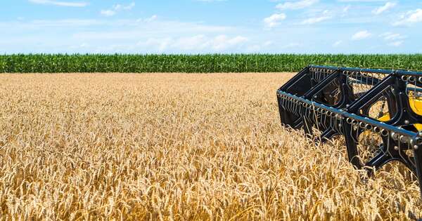 Soja: cuestionan descuentos y piden reglas claras en zafra