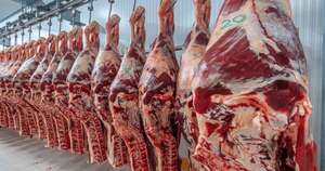Mercado de carne paraguaya: Evidencia descarta colusión y confirma al sector como un “tomador de precios”