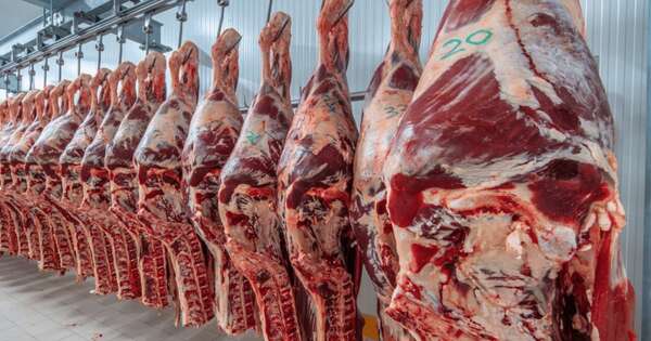 Mercado de carne paraguaya: Evidencia descarta colusión y confirma al sector como un “tomador de precios”