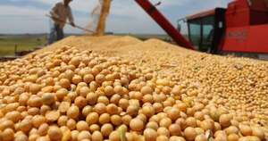 Tras años de sequía la producción de soja, se notan mejoras en fincas de San Pedro