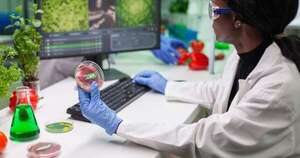 Cuántica, robótica e innovación alimentaria impulsarán este año