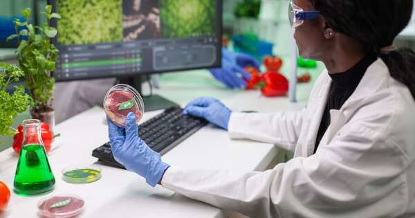 Cuántica, robótica e innovación alimentaria impulsarán este año