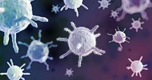 Terapia innovadora logra eliminar virus en mujeres sin ningún efecto
