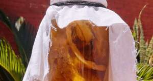 Bebidas fermentadas y su rol en la salud intestinal