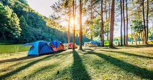 ¿Día de los enamorados?, preparan nueva edición del “Campamento para Solteros”