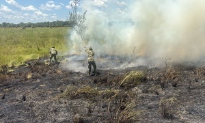 Incendios forestales desbordan a bomberos: casi 200 focos activos en el país - OviedoPress