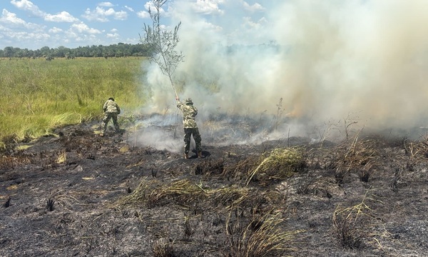 Incendios forestales desbordan a bomberos: casi 200 focos activos en el país - OviedoPress
