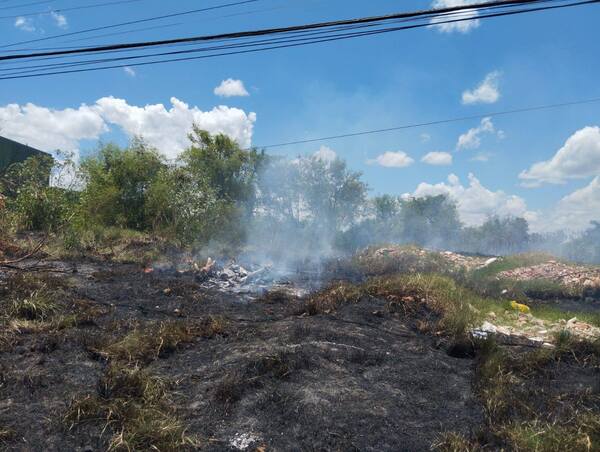 Incendio de pastizal moviliza a bomberos voluntarios en la SENADIS - Concepción al Día