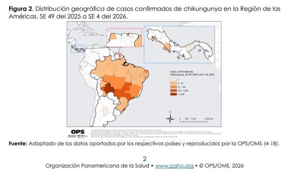 Alerta por aumento de casos de chikungunya en la región » San Lorenzo PY