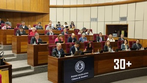 Reforma de la Caja Fiscal: Senadores muestran predisposición para escuchar contrapropuestas - trece