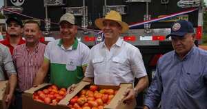 La Nación / Tomates: afirman que no hay escasez local
