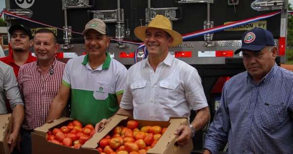La Nación / Tomates: afirman que no hay escasez local