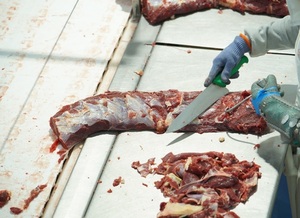 Gobierno respalda la avanzada política para lograr una cuota propia en EEUU