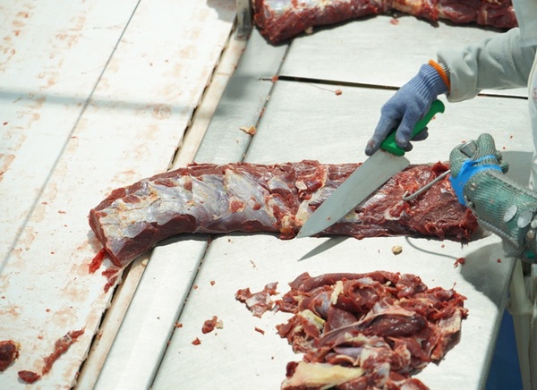 Gobierno respalda la avanzada política para lograr una cuota propia en EEUU