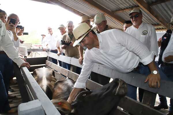 “Paraguay va a seguir vacunando”, afirmó Carlos Giménez y adelantó que la inmunización será plena en 2027
