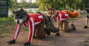 Diario HOY | Juntada de los que se perciben animales: no se autorizó uso del Anfiteatro