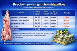 El precio del ganado al gancho registra una elevación promedio del 24,4% interanual