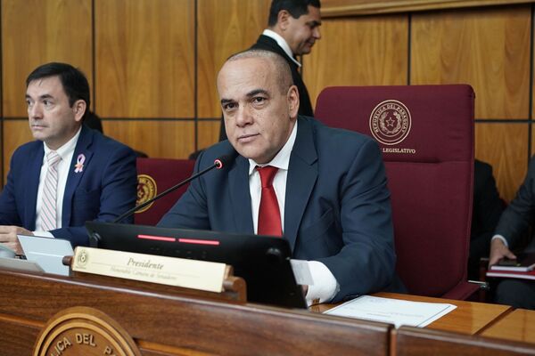 Bachi Núñez afirma que se debe tratar primero la Caja Parlamentaria antes de avanzar con la Caja Fiscal - El Trueno