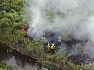 La quema prescrita sigue prohibida en todo el país, advierte el Infona - ABC Rural - ABC Color