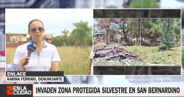 La Nación / Denuncian invasión de más de 200 familias en zona protegida de San Bernardino