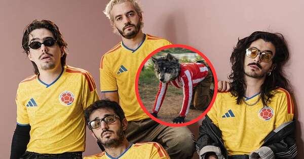 La Nación / ¿Moda peligrosa? Un therian intentó abalanzarse sobre Morat en Buenos Aires