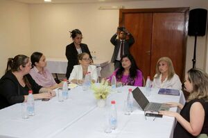 Vicepresidenta Llanes encabezó mesa de trabajo para implementar gradualmente asesoría de prueba en el sistema penal