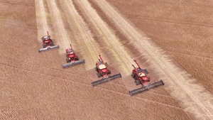 Amigo Camionero en el corazón de la soja - Amigo Camionero
