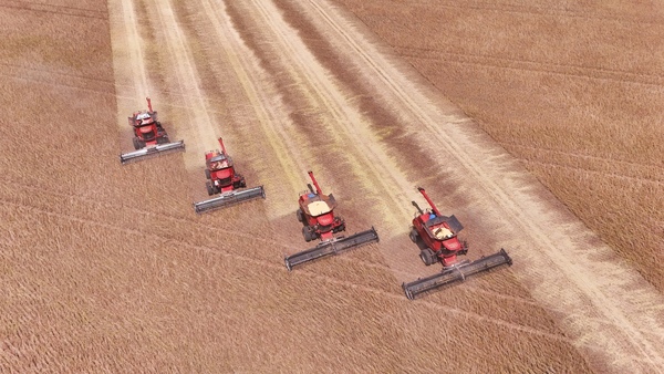 Amigo Camionero en el corazón de la soja - Amigo Camionero