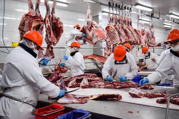Alemania y Reino Unido fueron los mercados que más pagaron por la carne paraguaya