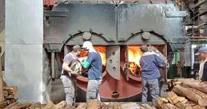 La Nación / Destruyen casi mil kilos de droga en Ñeembucú bajo supervisión judicial