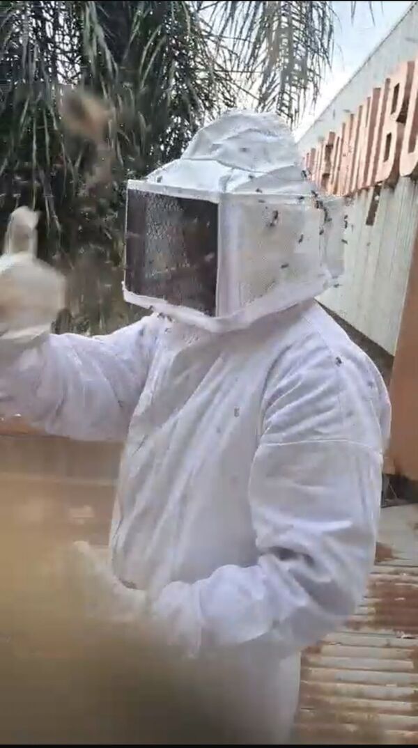 Popular / Abejas atacan en la Terminal de Ómnibus de Ciudad del Este