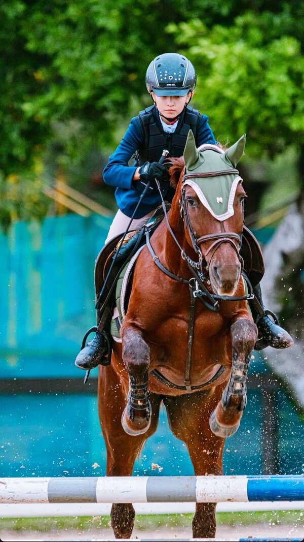 Hipismo: Saltos en el Acá Carayá - Polideportivo - ABC Color