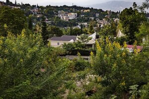 Bajo el control de las pandillas, Haití se enfrenta también a una crisis de liderazgo