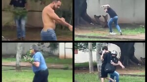 Invasión de furiosas abejas causó desesperación en Terminal de CDE