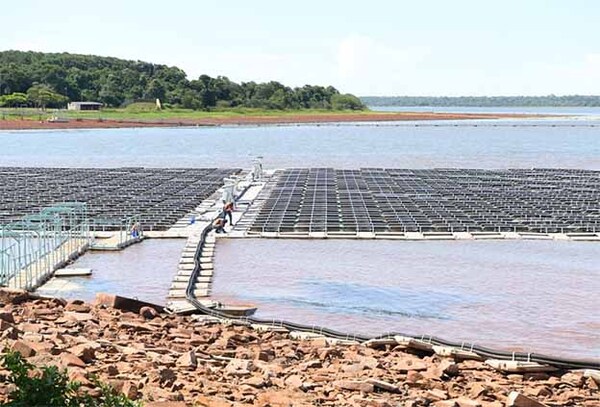 En el Día Mundial de la Energía, Itaipú reafirma su liderazgo en generación limpia y renovable | DIARIO PRIMERA PLANA