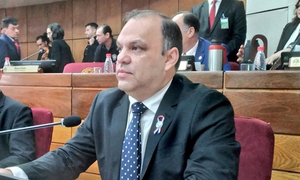 Presidentes de IPS y Petropar deben irse para evitar mayor desgaste del Gobierno, dice senador