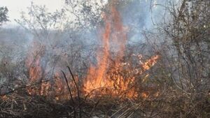 Controlan incendios en varias zonas del país durante operativo interinstitucional - ADN Digital