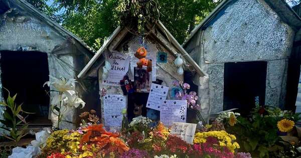 La Nación / Exhuman el cadáver del perro “Orelha”, muerto por agresión de un adolescente