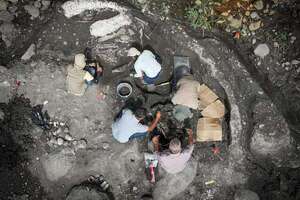 Costa Rica: descubren fósiles de perezoso gigante y mastodonte de al menos 10.000 años  - Ciencia - ABC Color