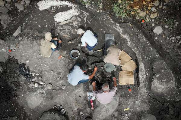 Costa Rica: descubren fósiles de perezoso gigante y mastodonte de al menos 10.000 años  - Ciencia - ABC Color