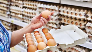 Producción de huevos en Paraguay se mantiene estable, pero precios generan desafíos a los productores