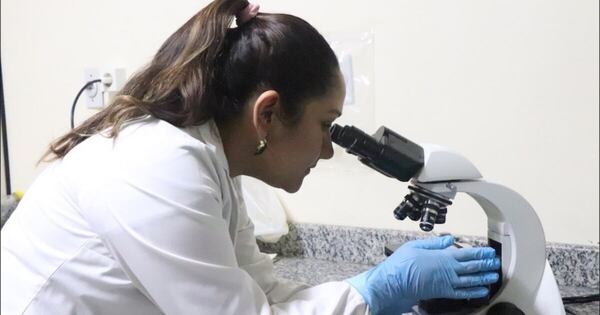 La Nación / Por qué investigar sigue siendo la clave