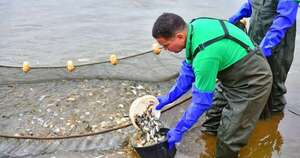 La Nación / Piscicultura impulsa empleo, nutrición y desarrollo