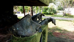 Anzuelo para intelectuales, adorno de dictadores