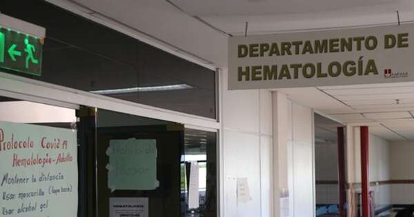 Diario HOY | Leucemias y cánceres de la sangre: señales de alerta, diagnóstico temprano y tratamientos