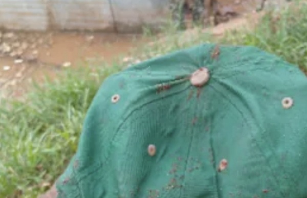 Hallazgo de la gorra de Tobías concentra la búsqueda en el arroyo Tayazuapé